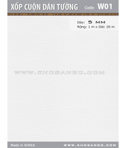 Foam Wall Coating W01