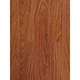 Sàn gỗ Dream Classy N300