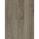 Sàn gỗ DREAM WOOD DW1289