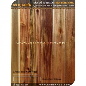 Sàn gỗ tràm bông vàng 450mm