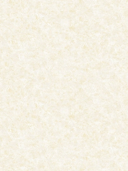 Giấy dán tường FIESTA 23211