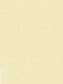 Giấy Dán Tường NEW LUCK II 8004-2