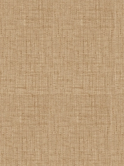 Giấy Dán Tường NEW LUCK II 8012-4