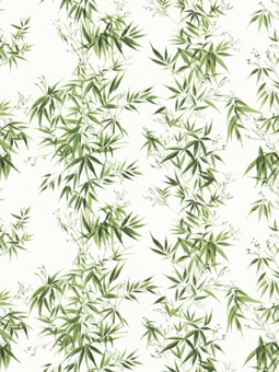 Wall Paper Albany 6812-1