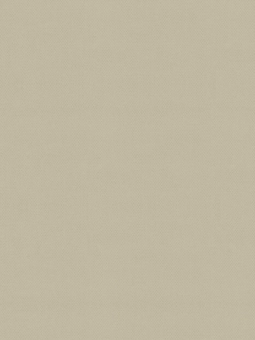 Giấy dán tường Albany 6810-4