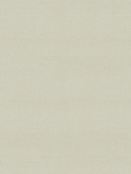 Giấy dán tường Albany 6811-2