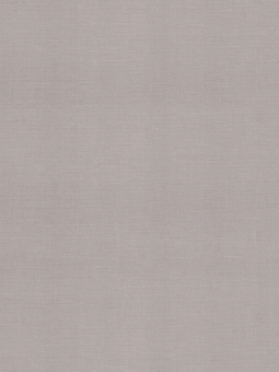 Giấy dán tường Albany 6811-3