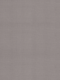 Giấy dán tường Albany 6811-4