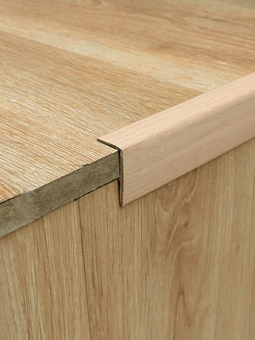 Nẹp Mũi Bậc CT204-8