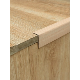Nẹp Mũi Bậc CT204-8