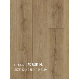 Sàn Gỗ An Cường AC12 4001 PL