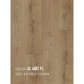 Sàn Gỗ An Cường AC8 4001 PL