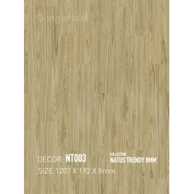 Sàn gỗ Dongwha NT003