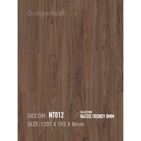 Sàn gỗ Dongwha NT012