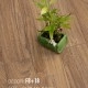 Sàn gỗ Nam Việt F8+18