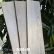 Sàn gỗ ShopHouse SH300+86