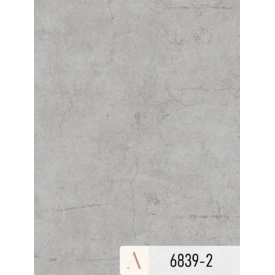Giấy dán tường Albany 6839-2