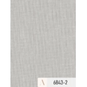 Giấy dán tường Albany 6843-2
