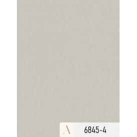 Giấy dán tường Albany 6845-4