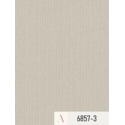 Giấy dán tường Albany 6857-3