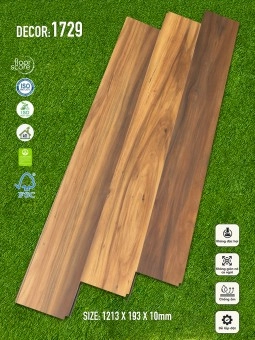 Dollar Floor 1729