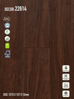 Dollar Floor 22614