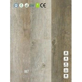867 Sàn nhựa Vina Spc 4.5mm