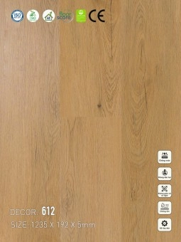 Sàn nhựa VinapoLy 5mm V612