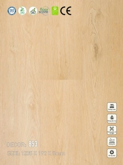 Sàn nhựa VinapoLy 5mm V853