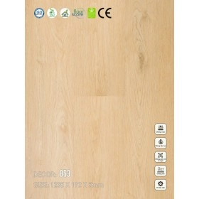 Sàn nhựa VinapoLy 5mm V853