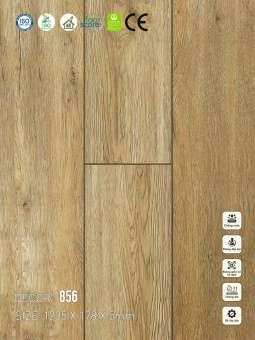 Sàn nhựa VinapoLy 5mm V856
