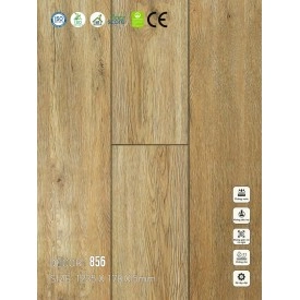 Sàn nhựa VinapoLy 5mm V856