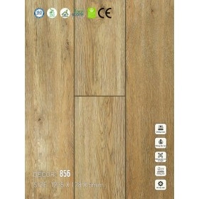 Sàn nhựa VinapoLy 5mm V856