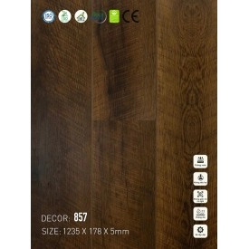  Sàn nhựa VinapoLy 5mm V857