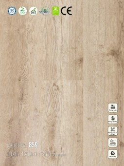 Sàn nhựa VinapoLy 5mm V859