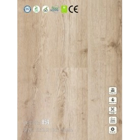Sàn nhựa VinapoLy 5mm V859