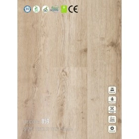 Sàn nhựa VinapoLy 5mm V859