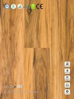 Sàn nhựa VinapoLy 5mm V861