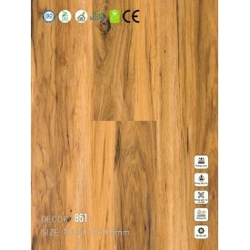 Sàn nhựa VinapoLy 5mm V861