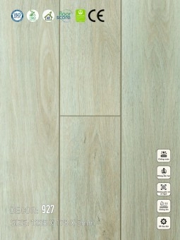 Sàn nhựa VinapoLy 5mm V927