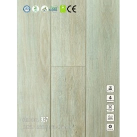 Sàn nhựa VinapoLy 5mm V927
