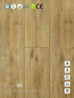 953 Sàn nhựa Vinapoly 5mm