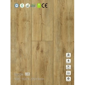 953 Sàn nhựa Vinapoly 5mm