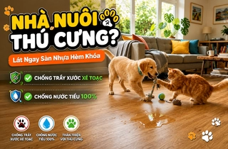 Khám Phá Lý Do Các Gia Đình Nuôi Thú Cưng Đồng Loạt Chuyển Sang Lót Sàn Nhựa Hèm Khóa