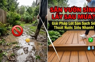Sân Vườn Sình Lầy Sau Mưa? Khám Phá Ngay Dòng Sàn Gỗ Ngoài Trời Thoát Nước Siêu Nhanh!