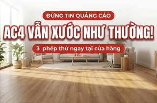 Chọn Sàn Gỗ Giá Rẻ Chống Xước Chuẩn Ac3 Hay Ac4? Chọn Sàn Gỗ Giá Rẻ Chống Xước Chuẩn Ac3 Hay Ac4?