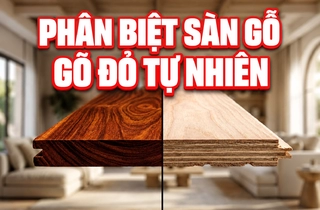 Làm Thế Nào Để Không Bị "Qua Mặt" Khi Phân Biệt Sàn Gỗ Gõ Đỏ Tự Nhiên Nguyên Khối 100% Và Hàng Ép Mặt?