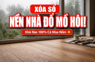 Sàn Nhựa Dán Keo: Giải Pháp Khắc Phục Nền Nhà Đổ Mồ Hôi