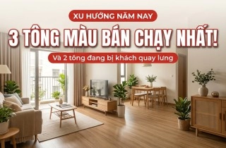 Tông Màu Vân Gỗ Hot Nhất Phân Khúc Sàn Gỗ Giá Rẻ Tông Màu Vân Gỗ Hot Nhất Phân Khúc Sàn Gỗ Giá Rẻ
